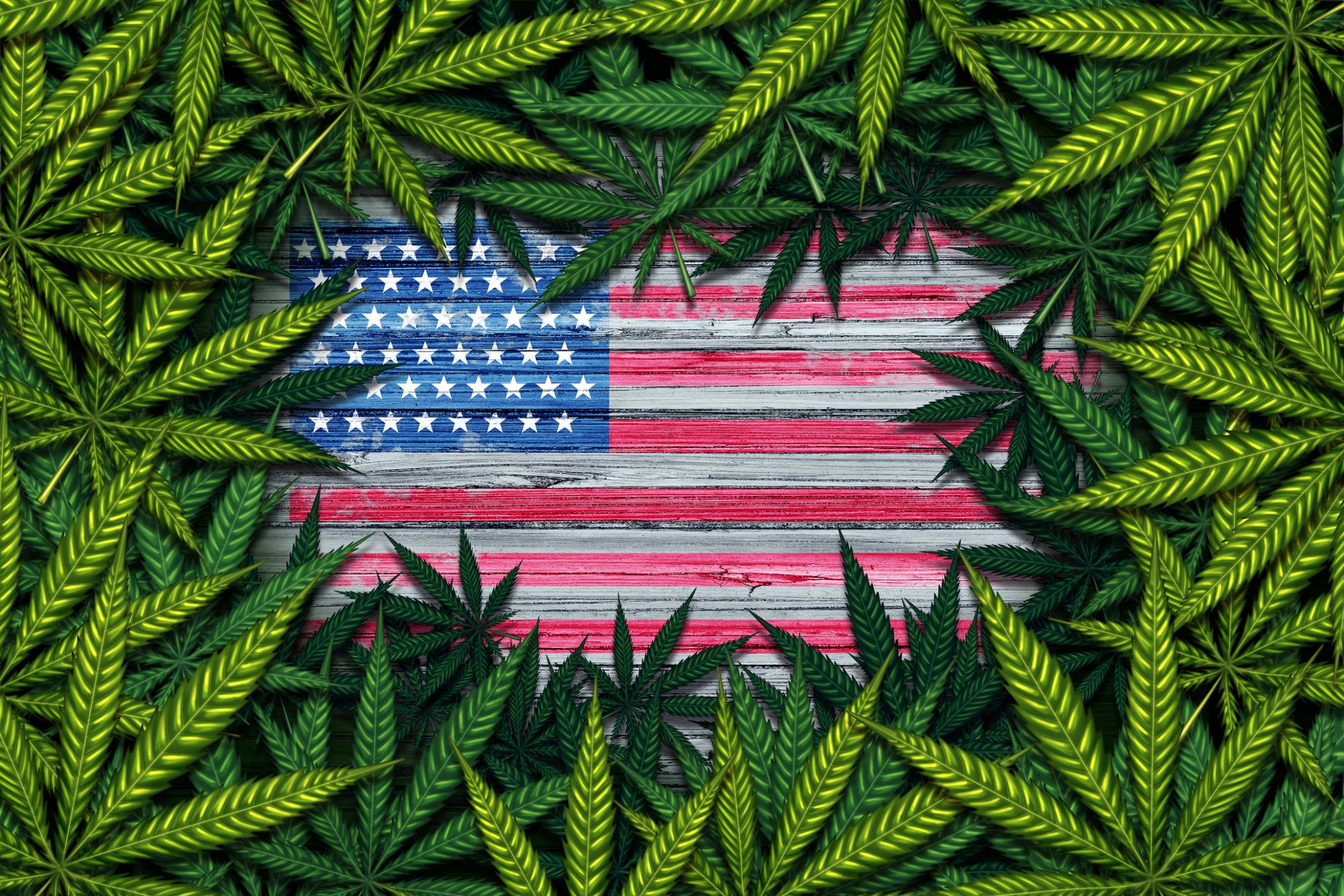 Hemp Legalization Clears House, Off to President for Final Approval